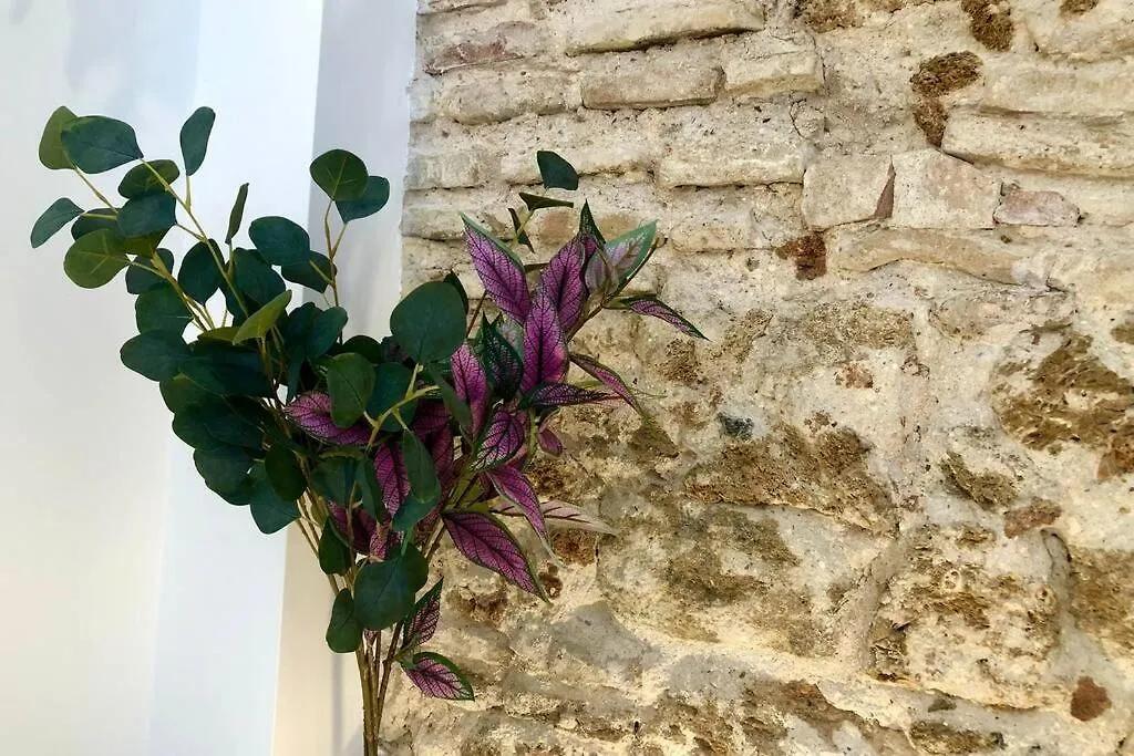 Gatu Premium Villa Libertad, Preferente Mayores De 25 Anos Y Familias Cádiz